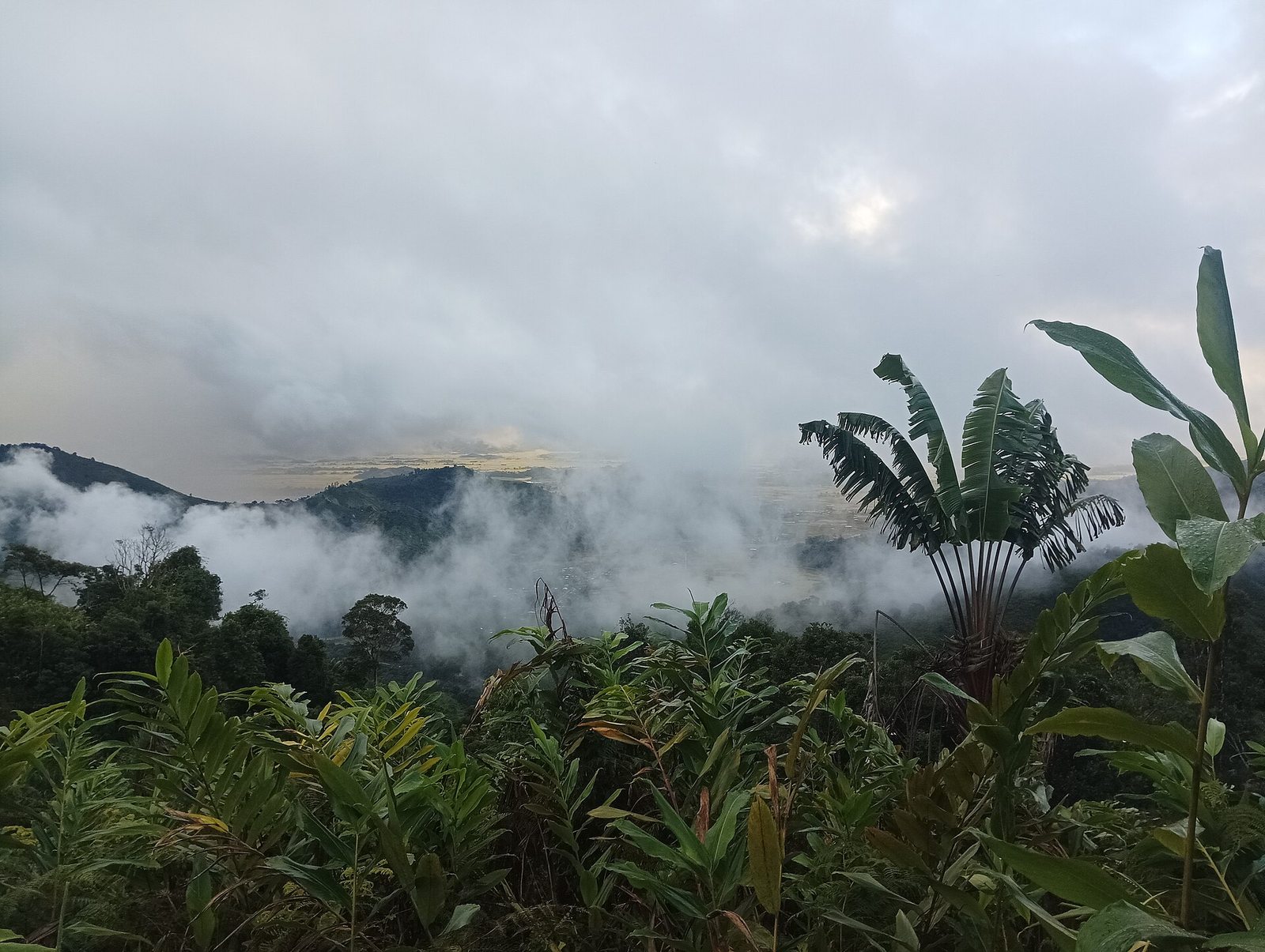 Morning mist over the hills above the Sambirano valley
