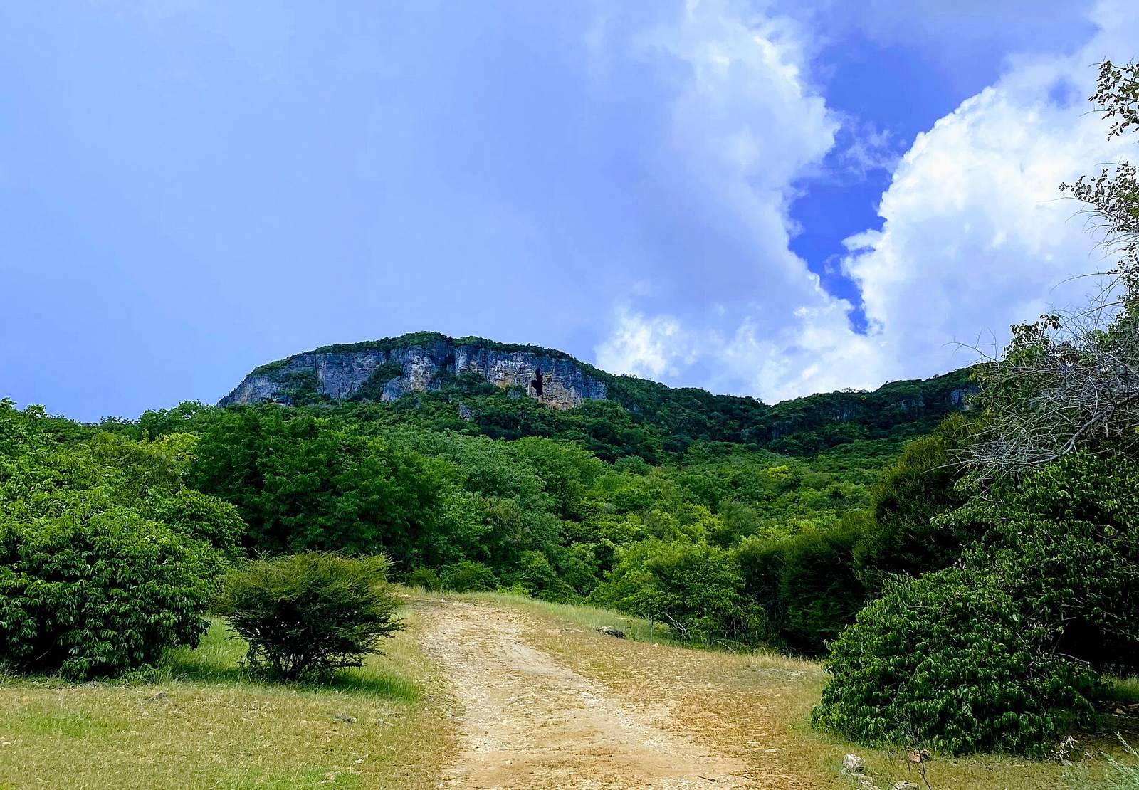 The trail up Montagne des Fran&ccedil;ais above Diego Suarez