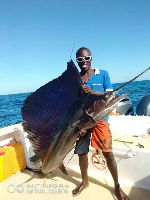 Sailfish Trophy
