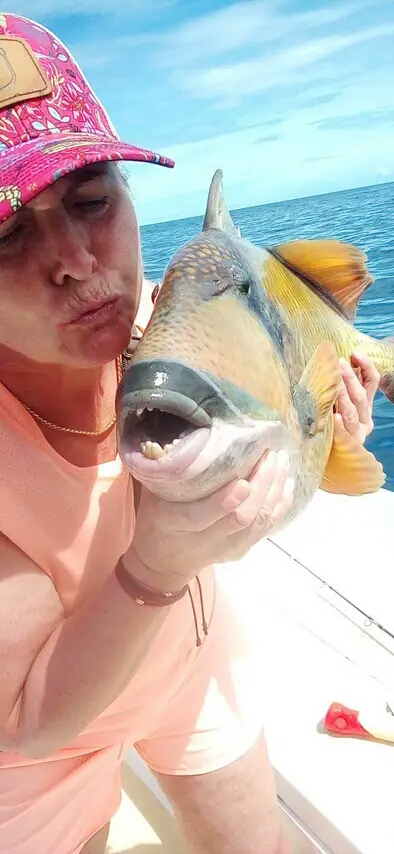 Titan Triggerfish