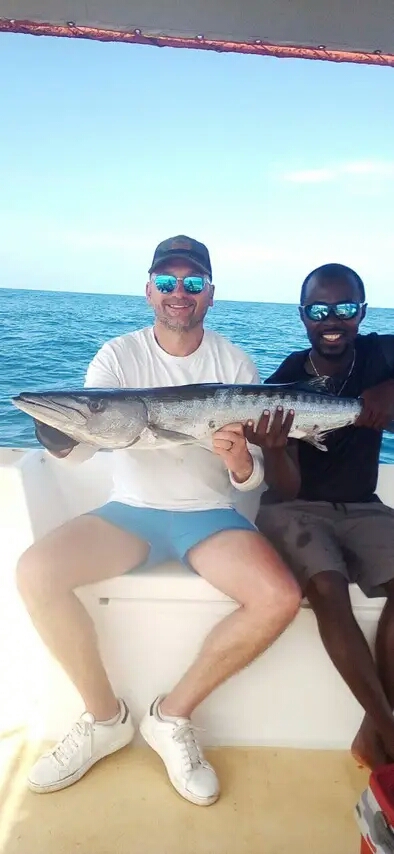 Barracuda
