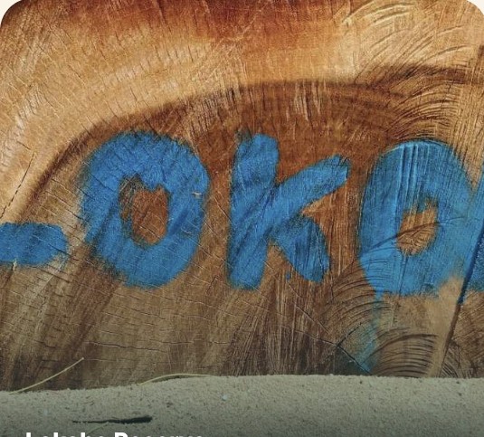 Lokobe Reserve