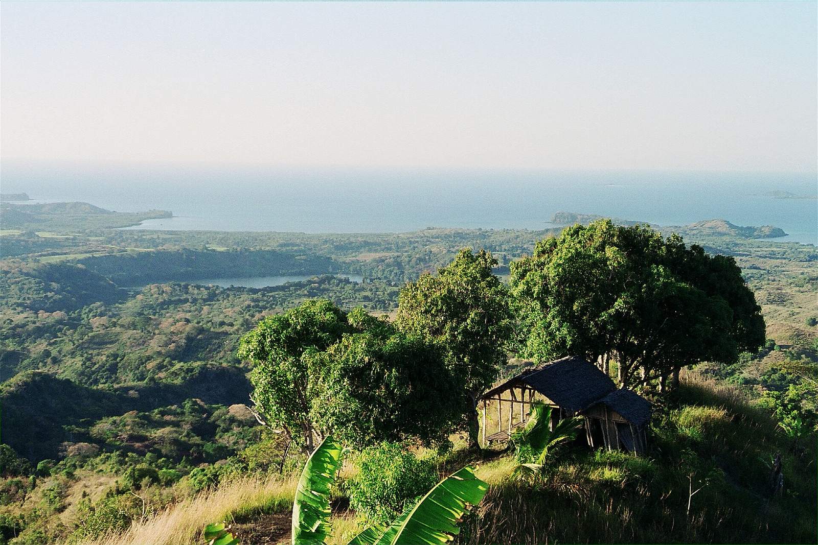 A hilltop hut and mango trees above the bay
