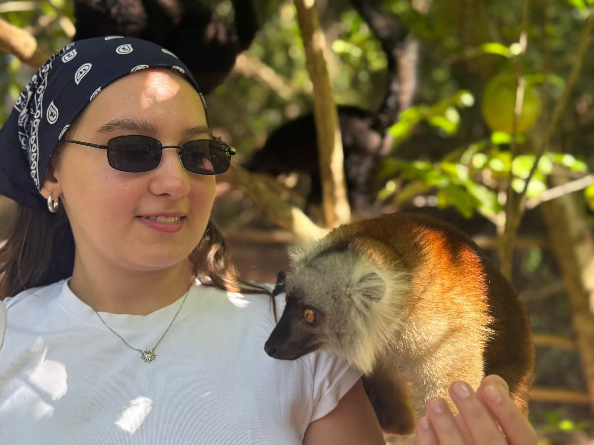 Making Friends