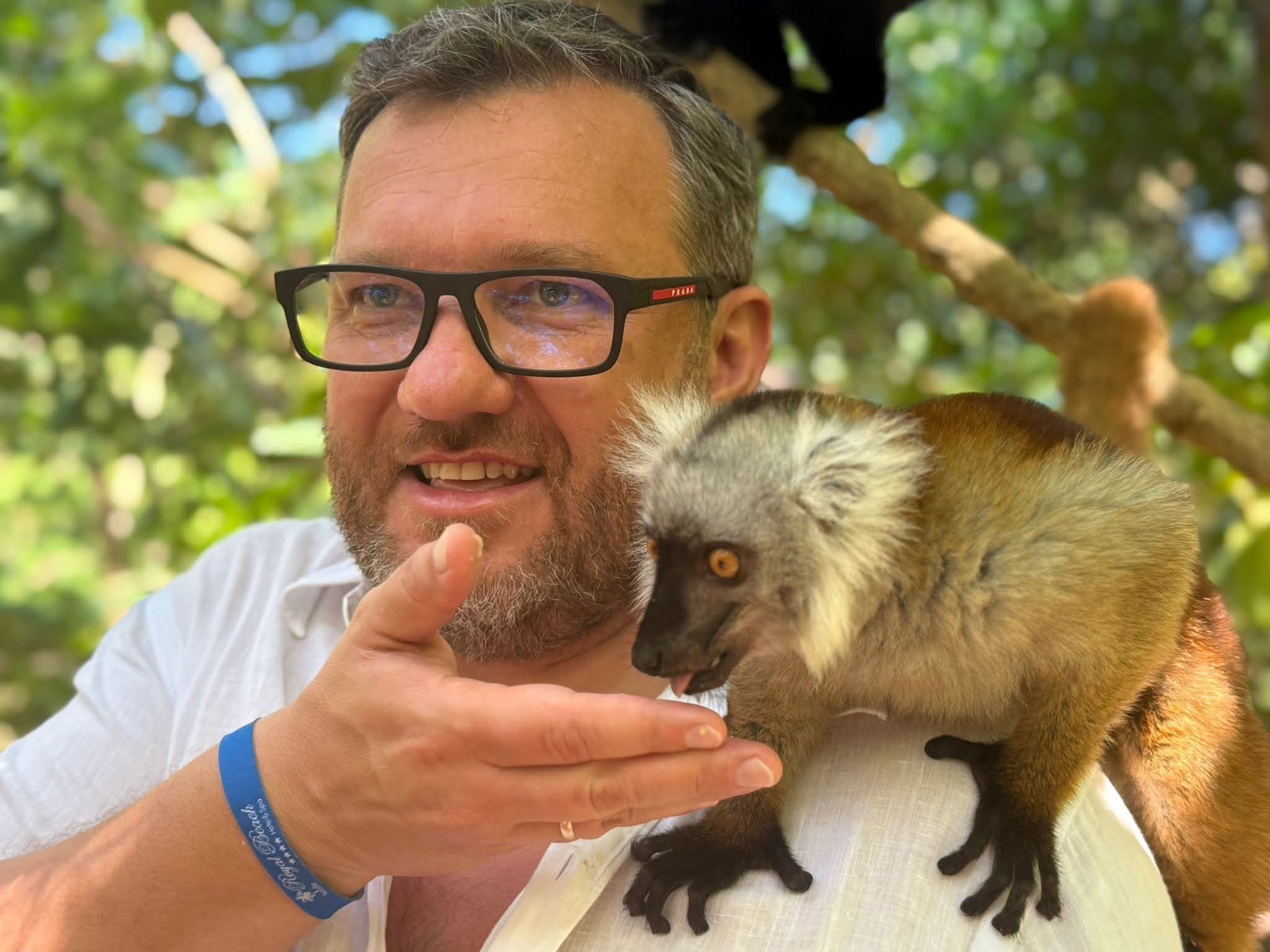 Lemur on the Shoulder